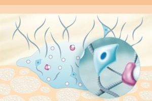 huidstructuur-voor-collageen stimulatie